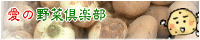 新じゃが・新玉ねぎ通販・愛の野菜倶楽部